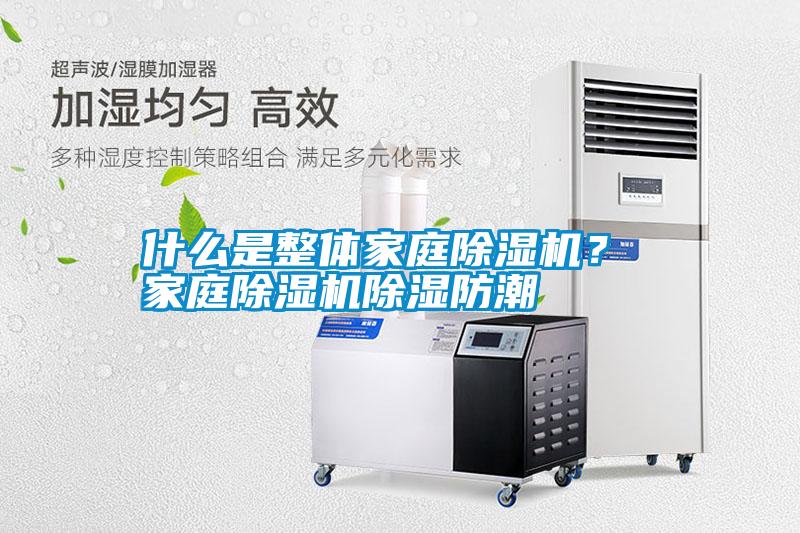 什么是整體家庭除濕機? 家庭除濕機除濕防潮