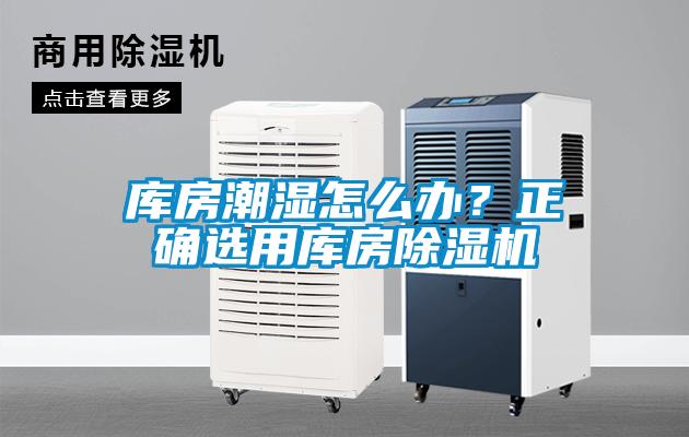 庫房潮濕怎么辦?正確選用庫房除濕機