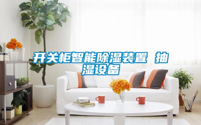 開(kāi)關(guān)柜智能除濕裝置 抽濕設(shè)備