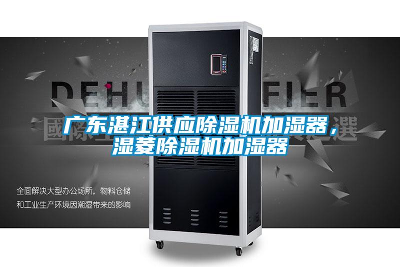 廣東湛江供應(yīng)除濕機加濕器,濕菱除濕機加濕器